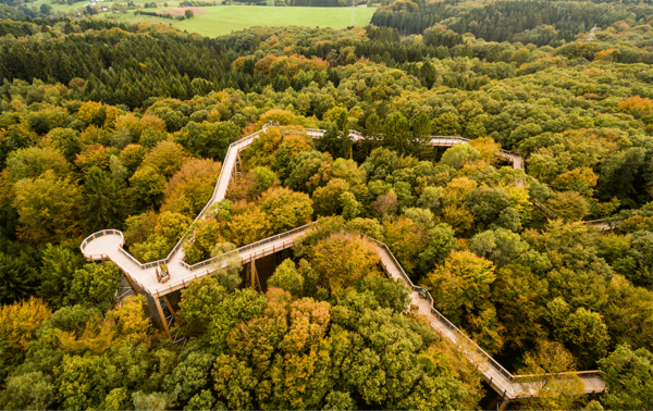 Luftbild vom Baumwipfelpfad des Naturerlebnisparks Panabora in Waldbröl.